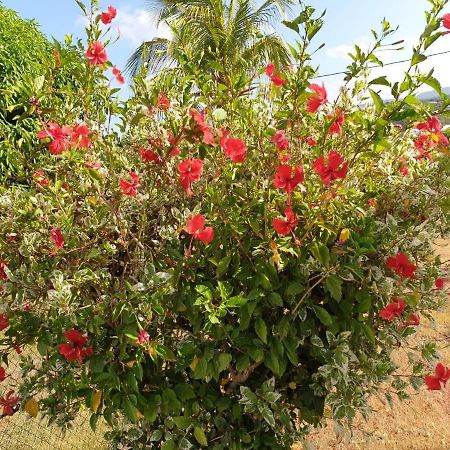 Baillif Villa Soleil Dz מראה חיצוני תמונה
